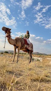 Disfruta Travel place picture